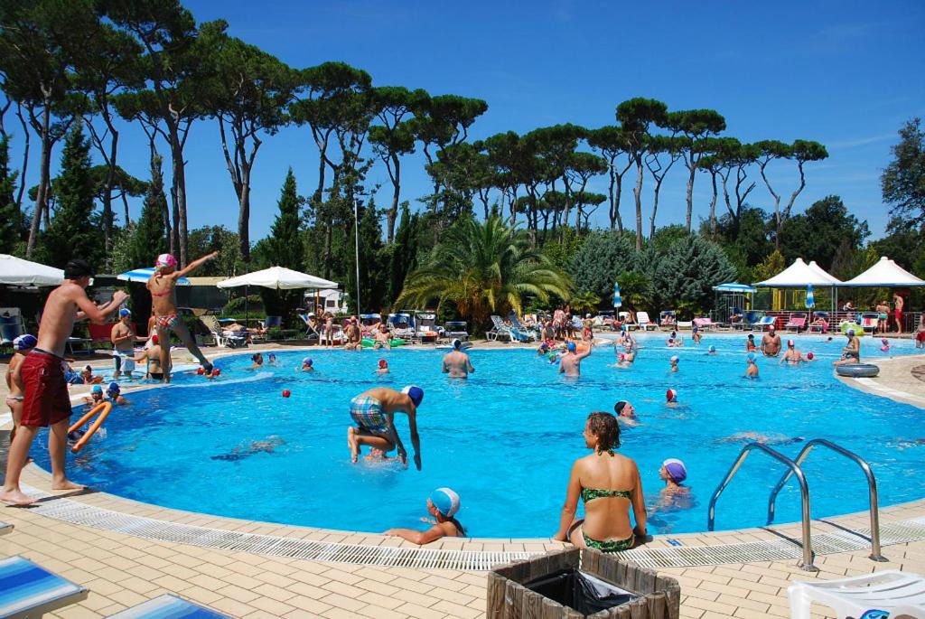 Photo of Human In Picture in Viareggio