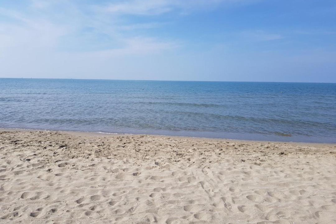 Photo of Outdoor in Calambrone