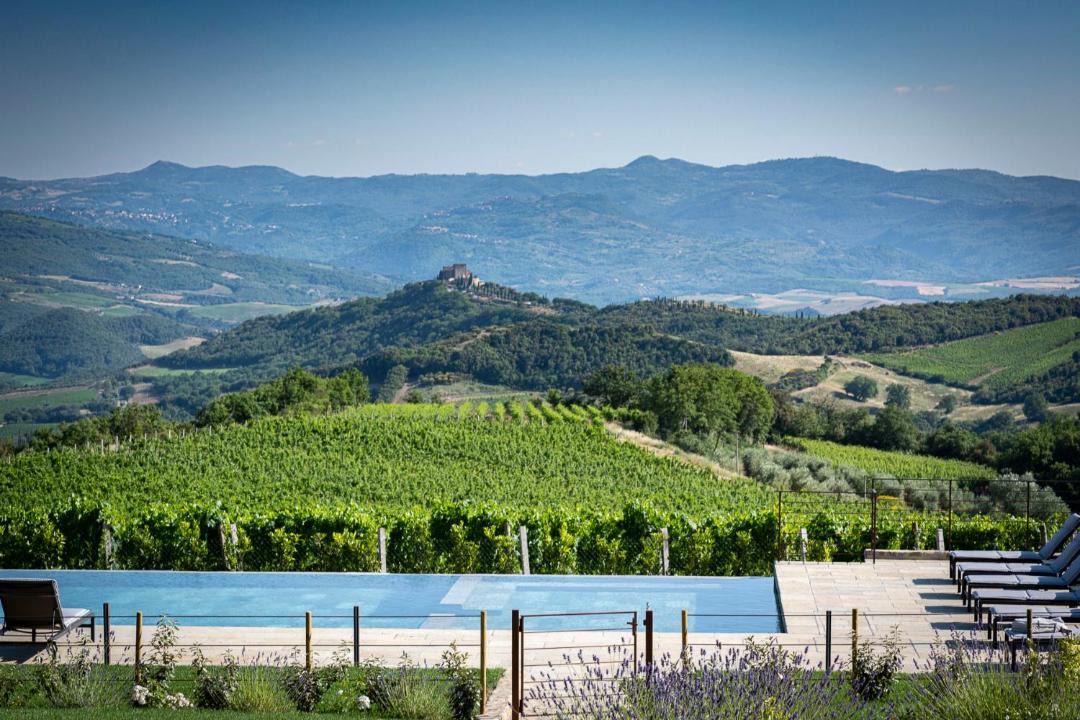 Photo of Others in Montalcino