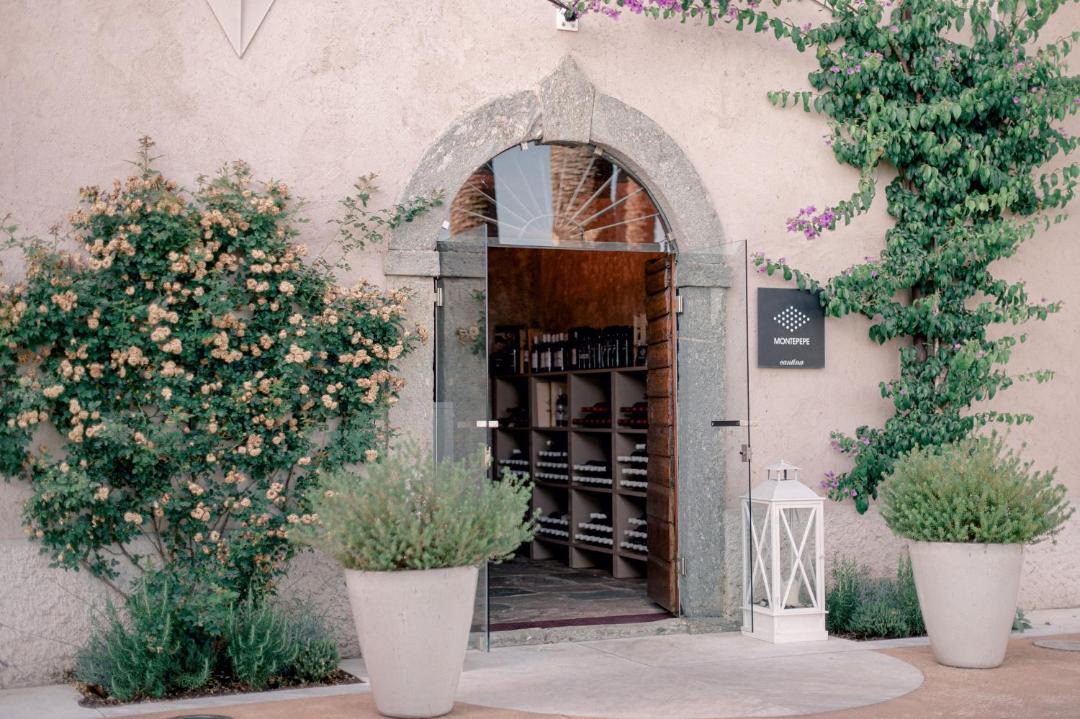 Photo of Others in Montignoso