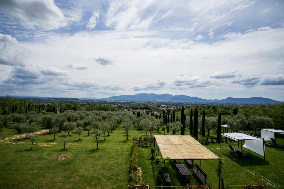 Photo of Others in Capannori
