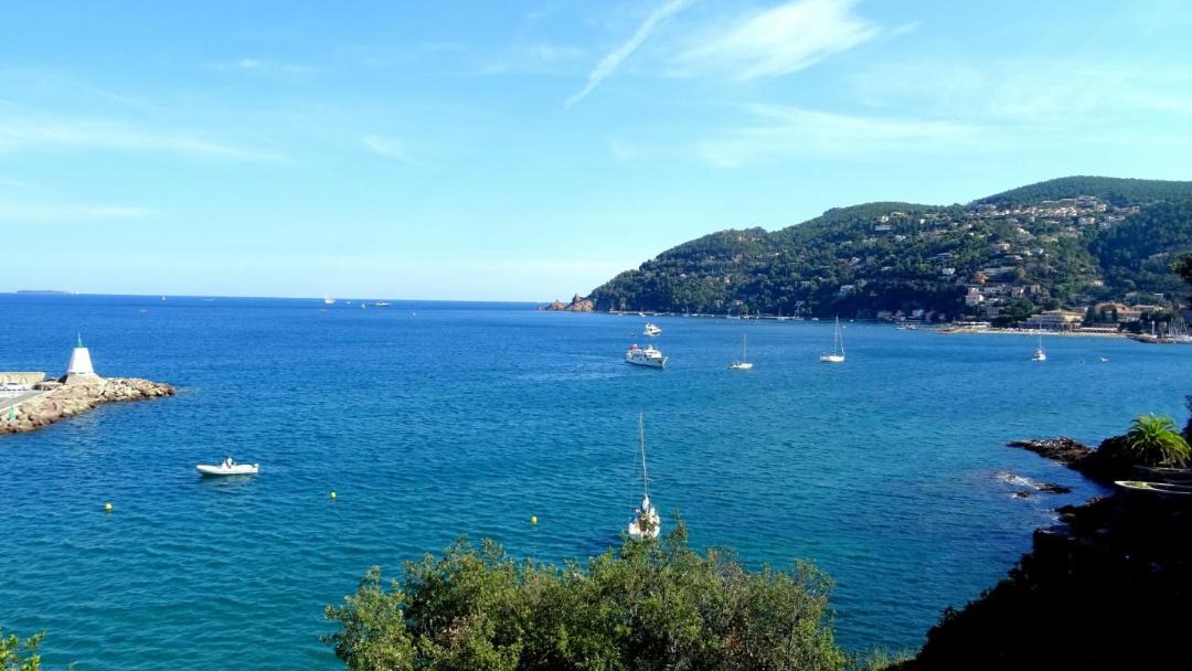 Photo of Outdoor in La Napoule