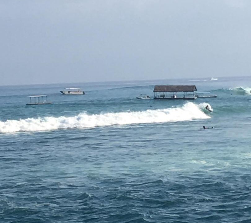 Photo of Others in Mushroom Bay