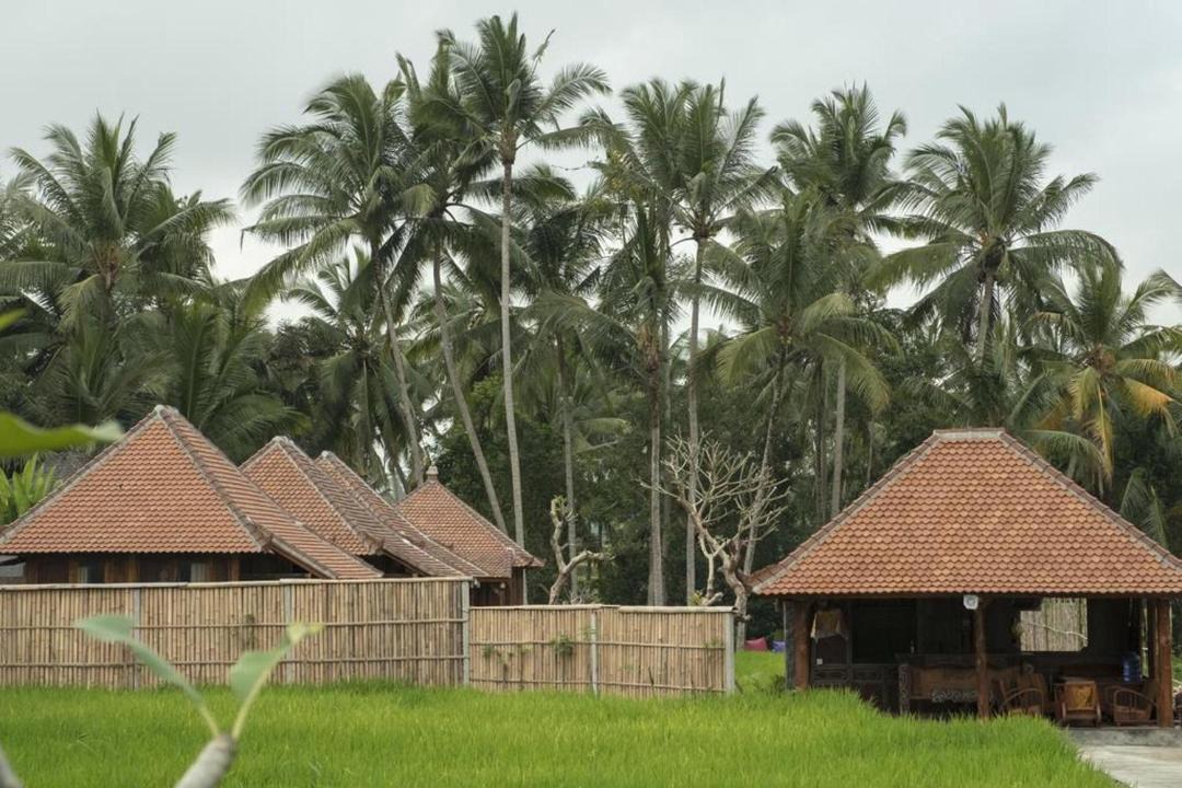 Photo of Buildings in Melayang