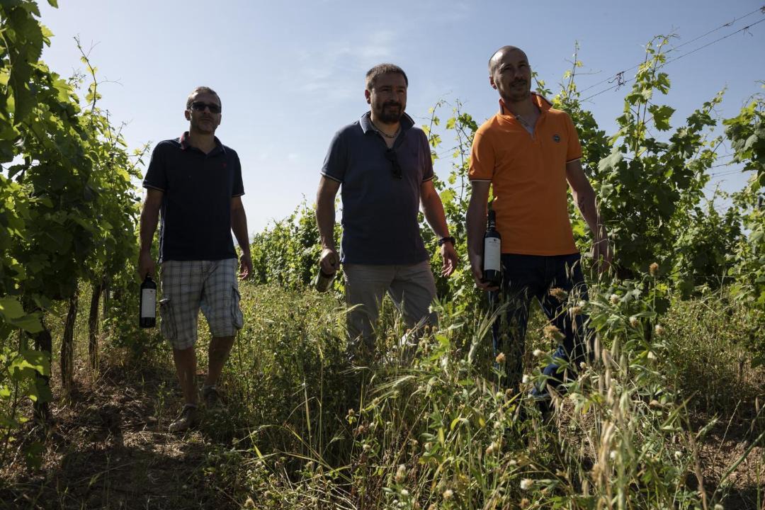 Photo of Others in Montorsaio