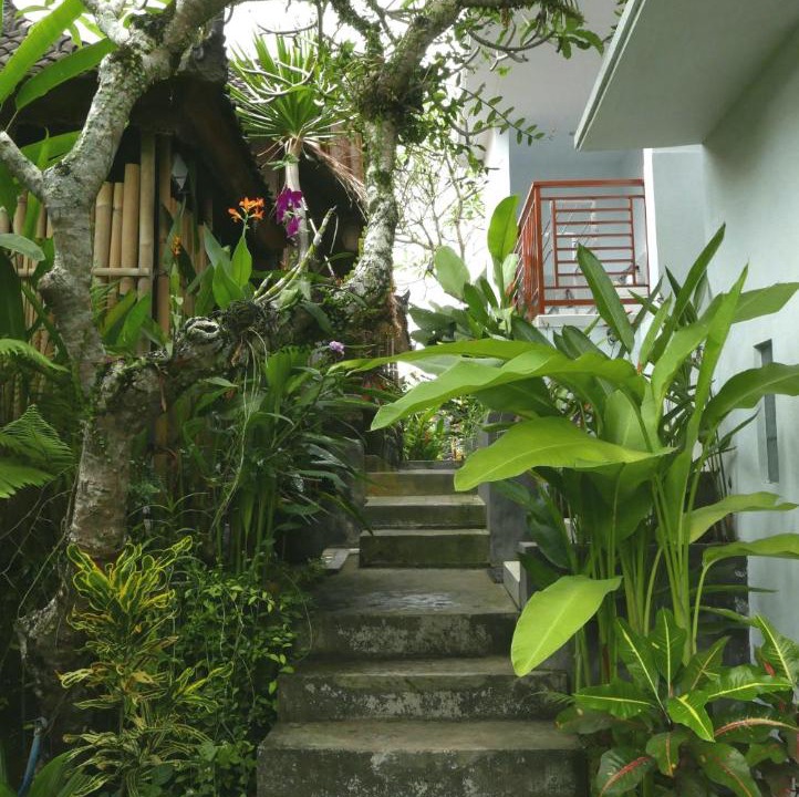 Photo of Buildings in Ubud City-Centre