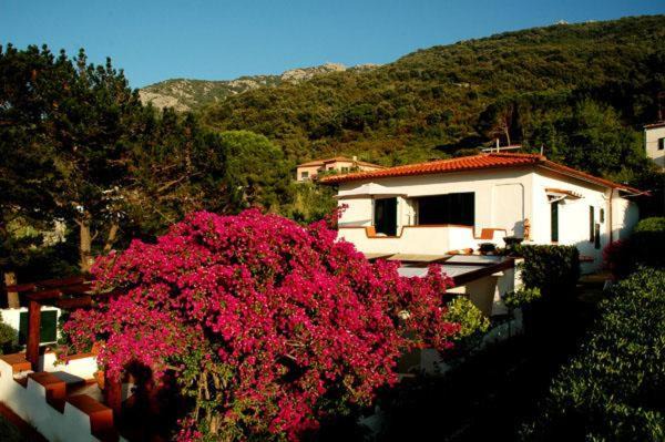 Photo of Buildings in Sant' Andrea