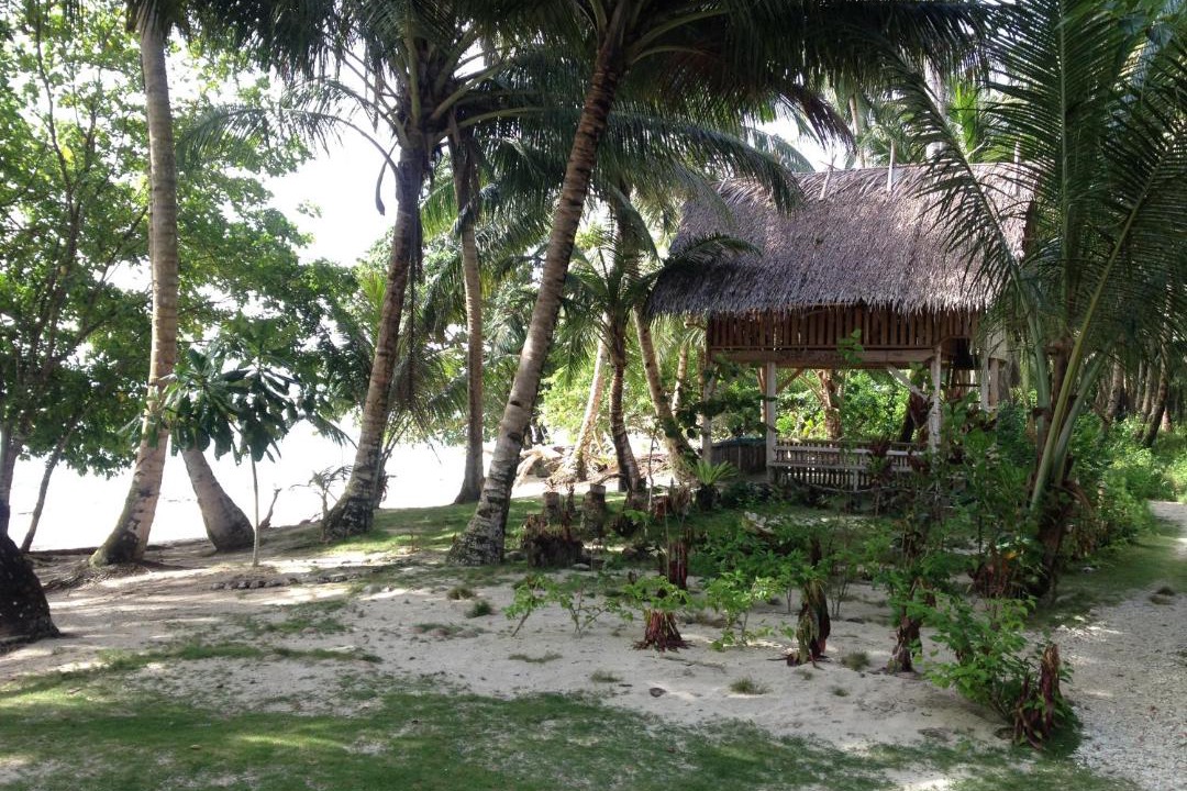 Photo of Others in Pulau Masokut