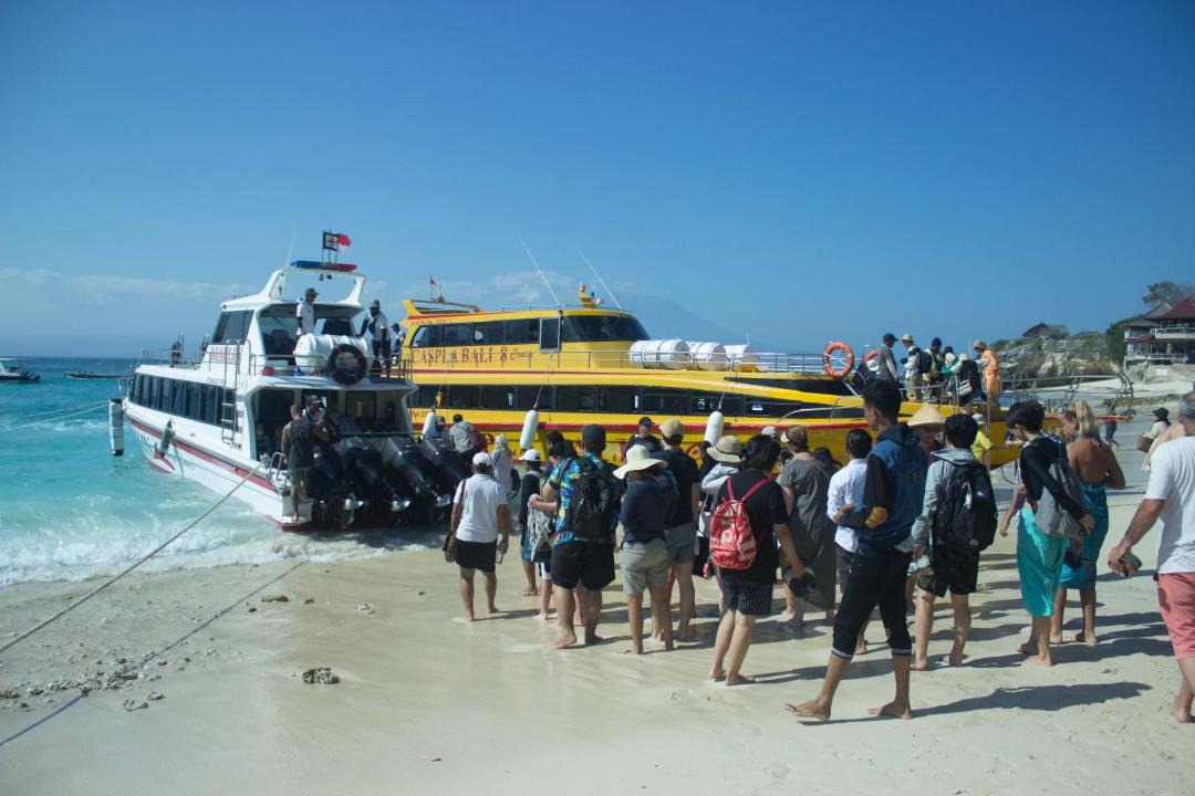 Photo of Others in Mushroom Bay
