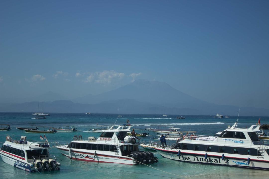 Photo of Others in Mushroom Bay