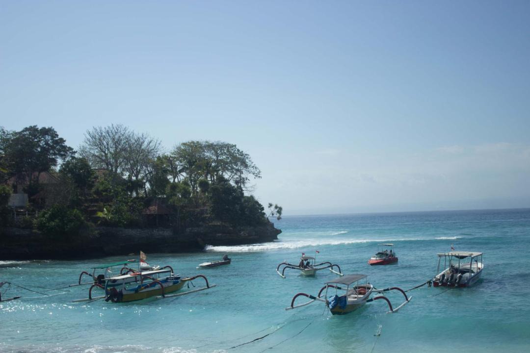 Photo of Others in Mushroom Bay