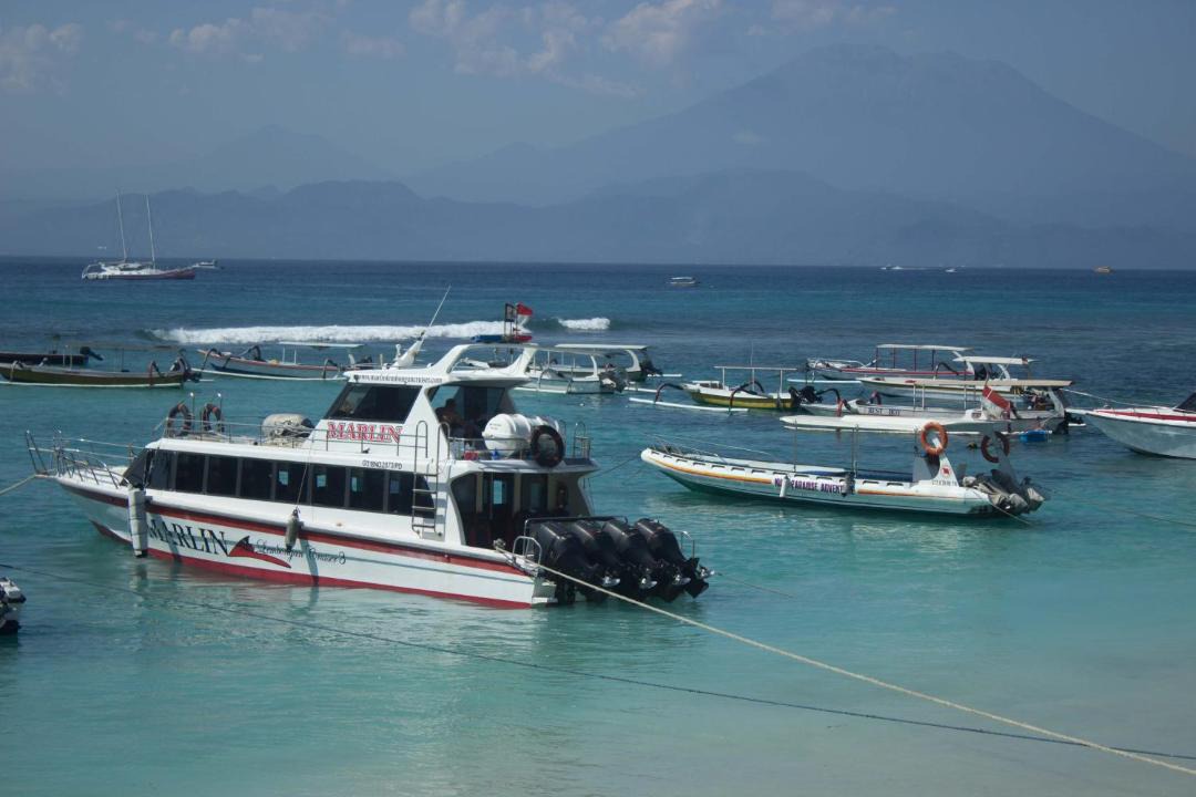 Photo of Others in Mushroom Bay