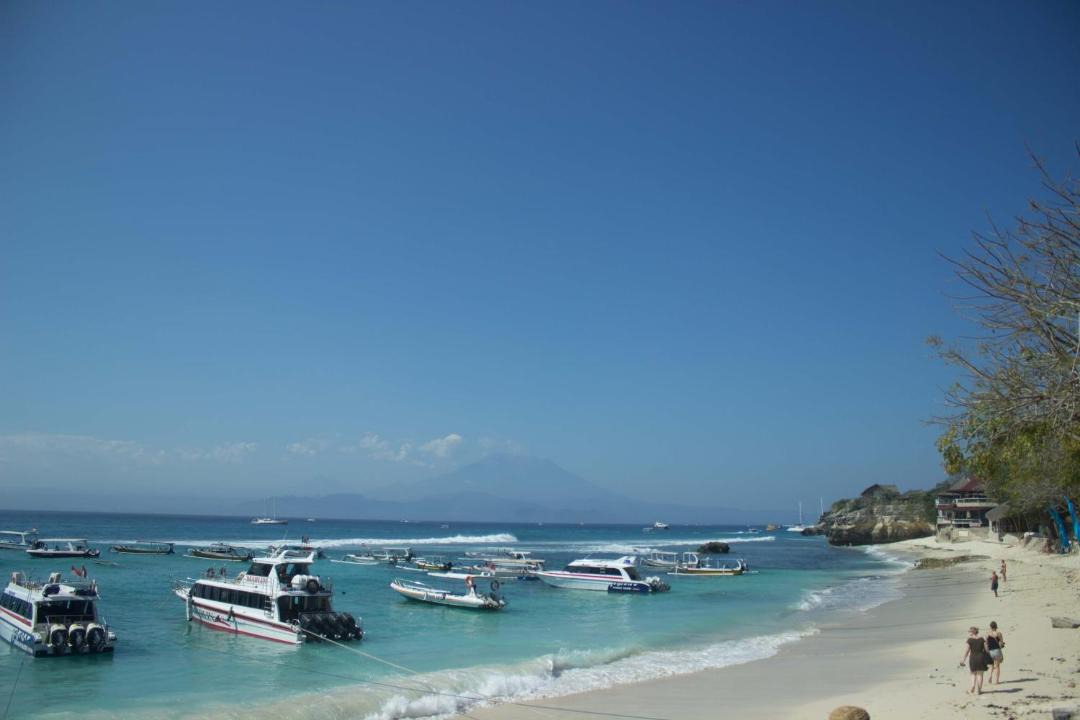 Photo of Others in Mushroom Bay
