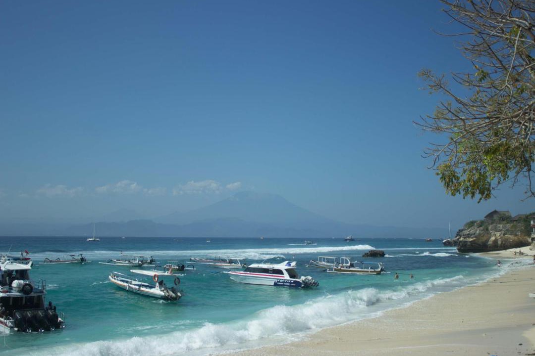 Photo of Others in Mushroom Bay