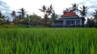 Photo of Others in Kedewatan