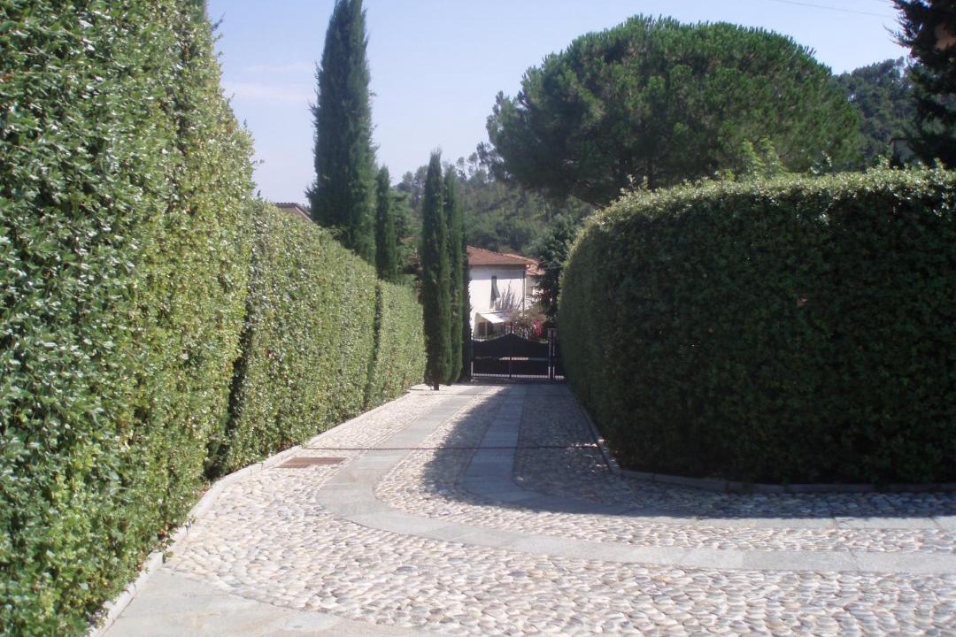 Photo of Others in Cascine-La Croce