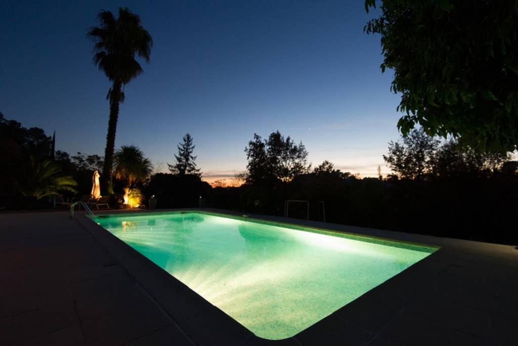 Photo of Others in Saint-Paul-de-Vence