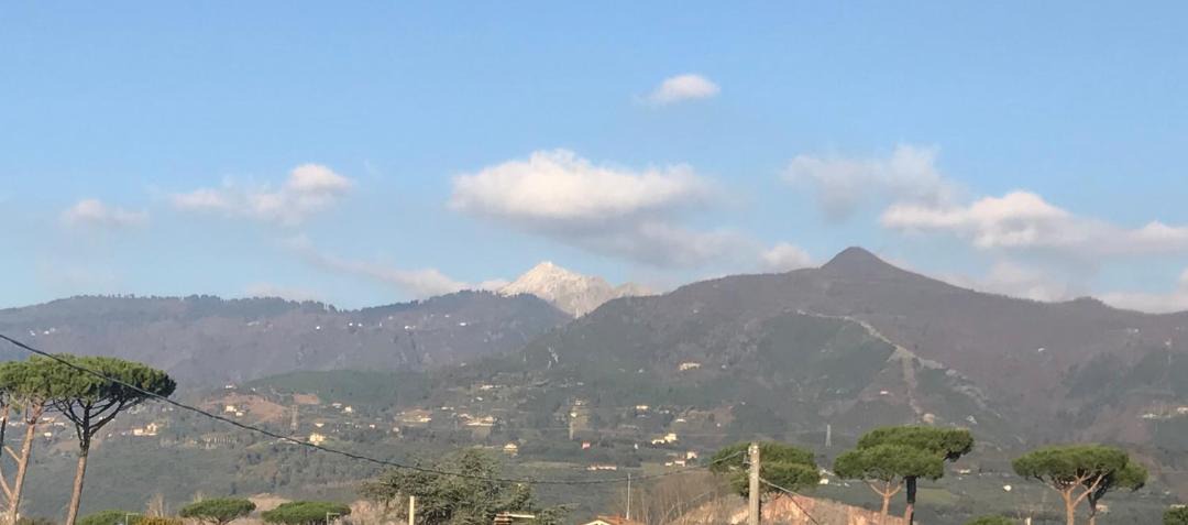 Photo of Others in Forte dei Marmi
