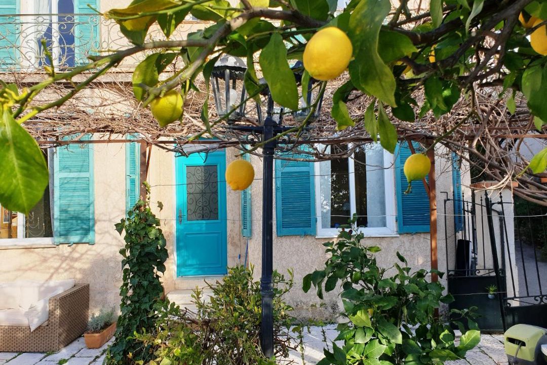 Photo of Others in Vence