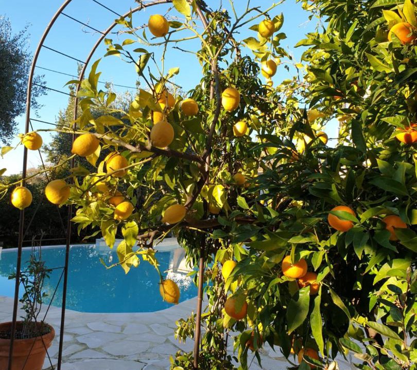 Photo of Others in Vence