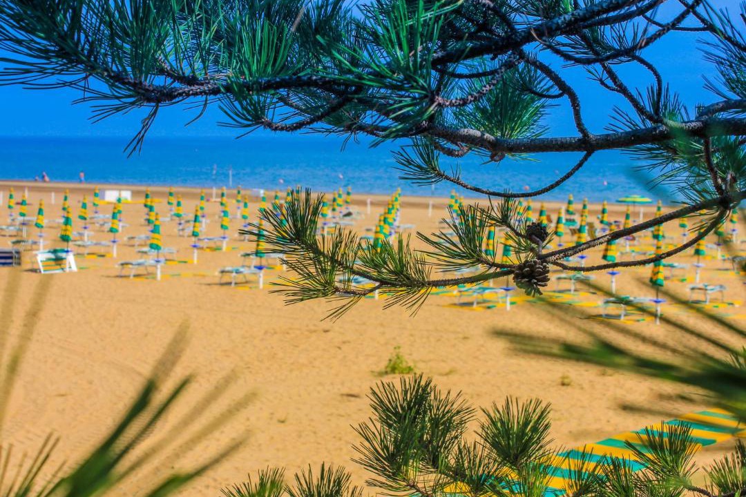 Photo of Others in Lignano Pineta
