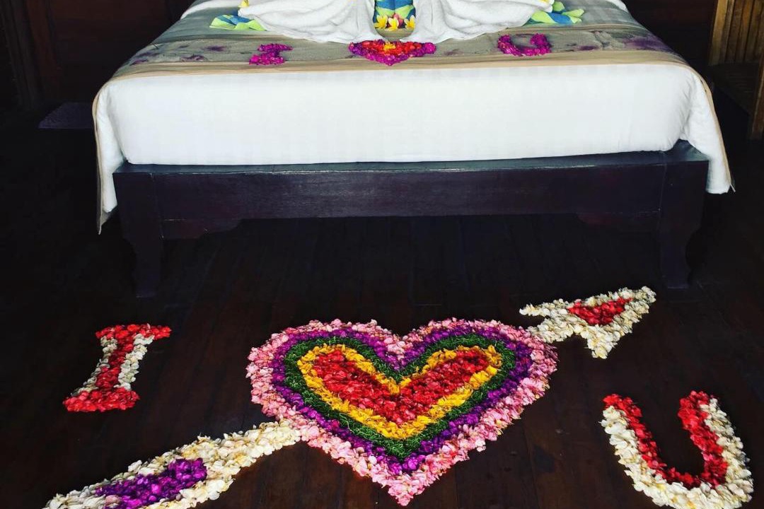 Photo of Bedroom in Mushroom Bay
