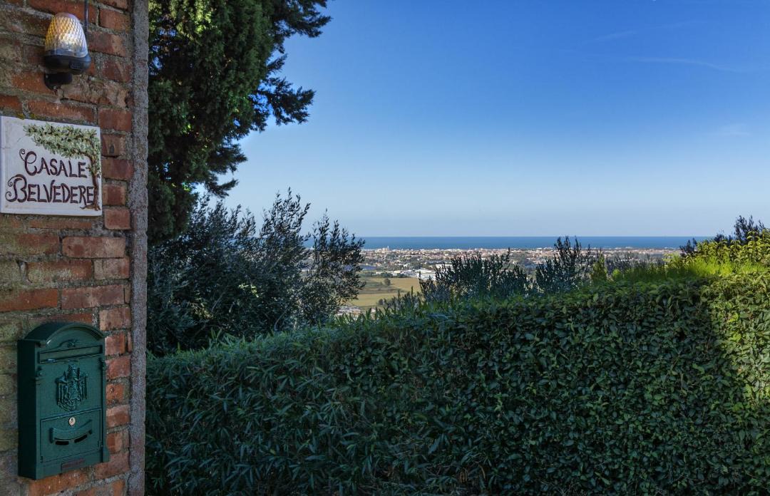 Photo of Others in Pieve a Elici