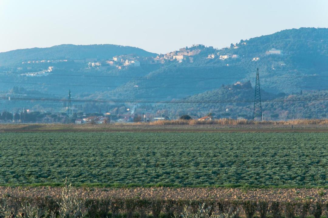 Photo of Others in Campiglia Marittima