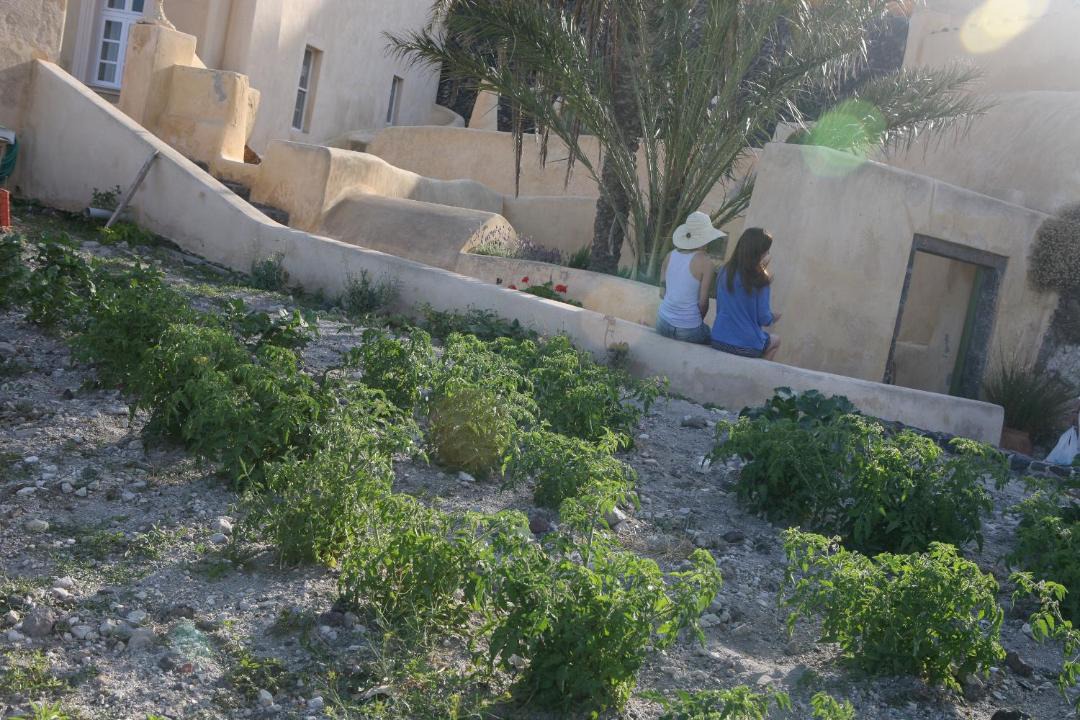 Photo of Buildings in Akrotiri
