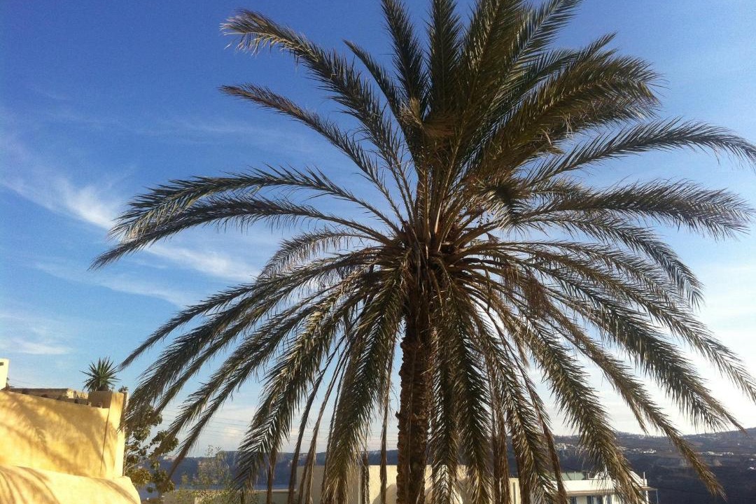 Photo of Others in Akrotiri