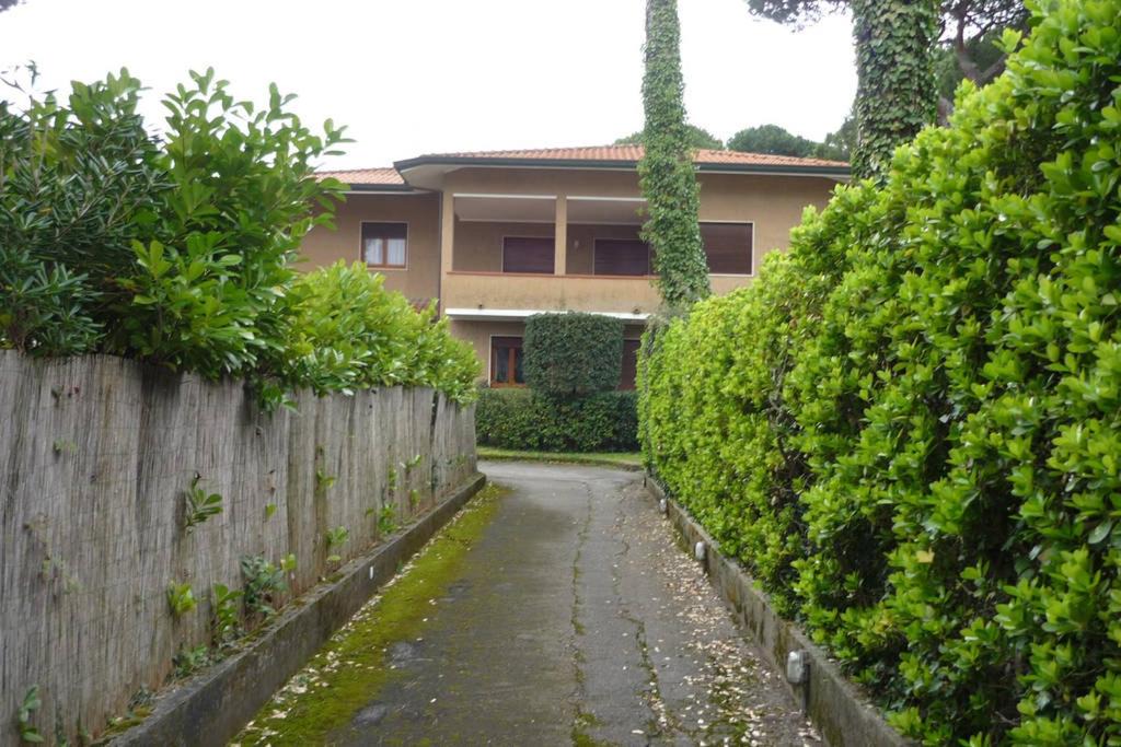 Photo of Buildings in Marina di Pietrasanta