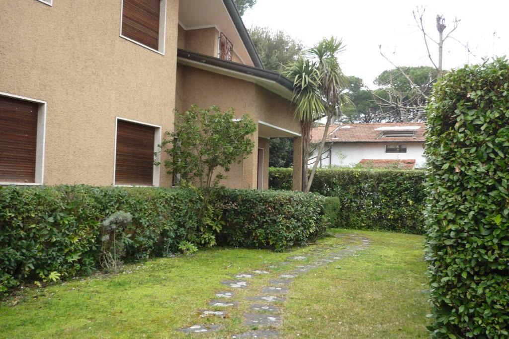 Photo of Buildings in Marina di Pietrasanta