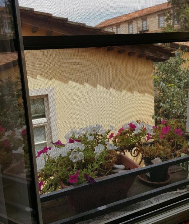 Photo of Patio Balcony in Lucca Historical Center