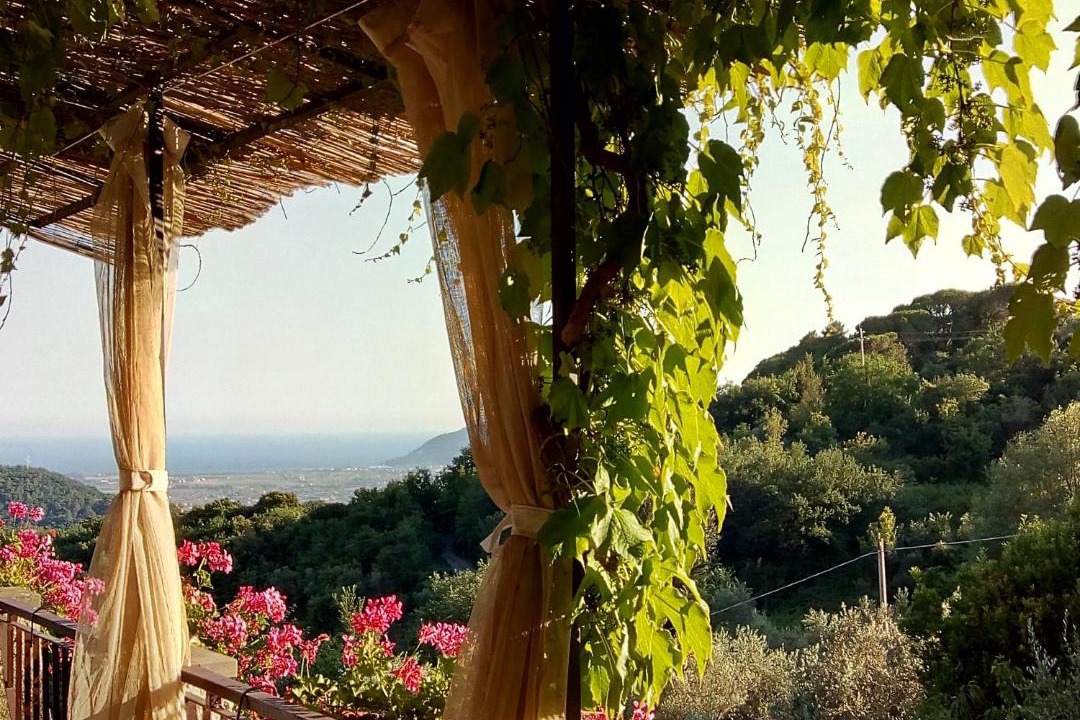 Photo of Others in Fosdinovo