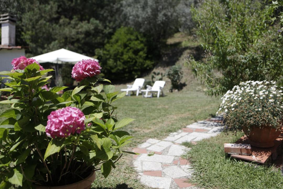 Photo of Others in Fosdinovo