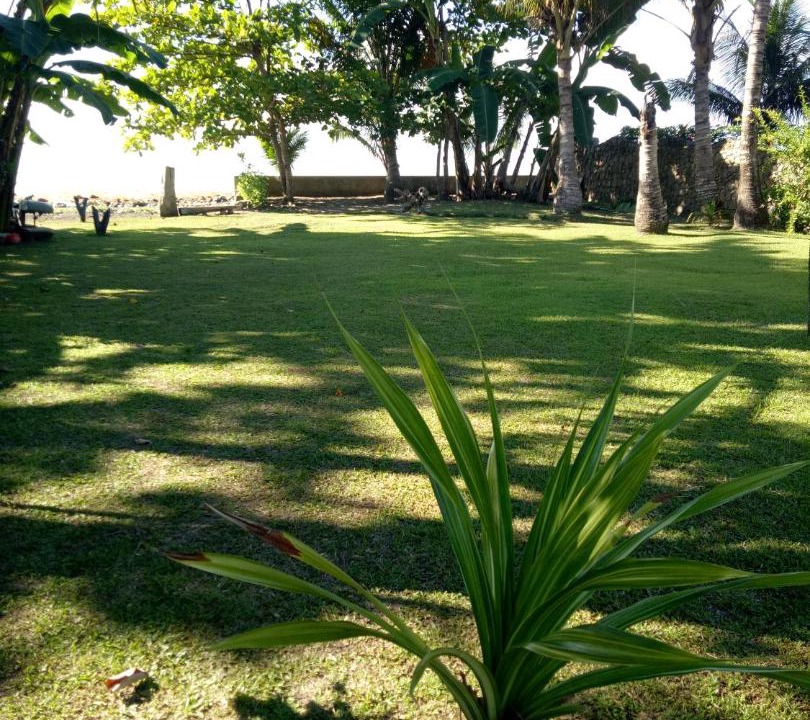 Photo of Outdoor in Laha