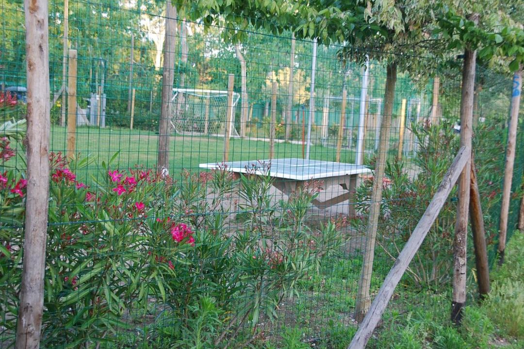 Photo of Outdoor in Viareggio