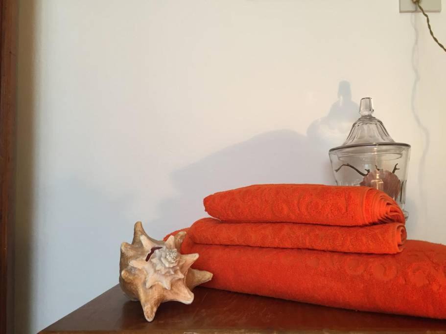 Photo of Livingroom in Viareggio