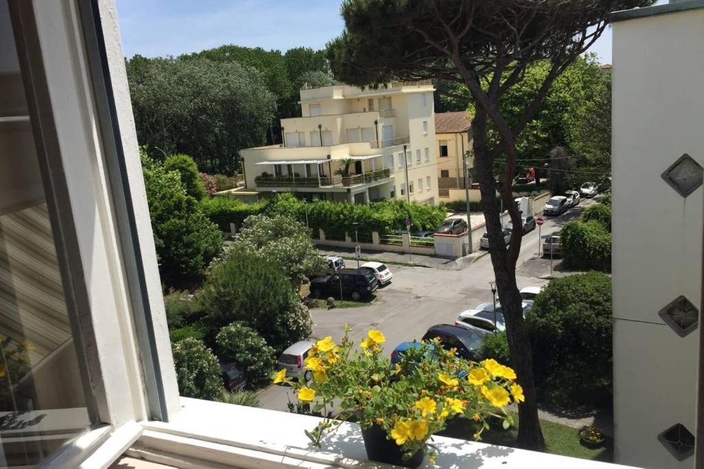Photo of Others in Viareggio