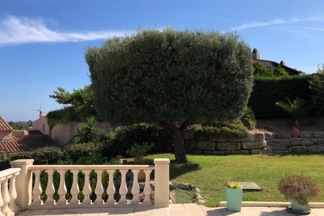 Photo of Others in Sainte-Maxime