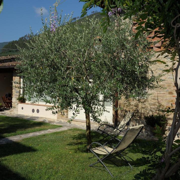 Photo of Others in Sant'Andrea di Compito