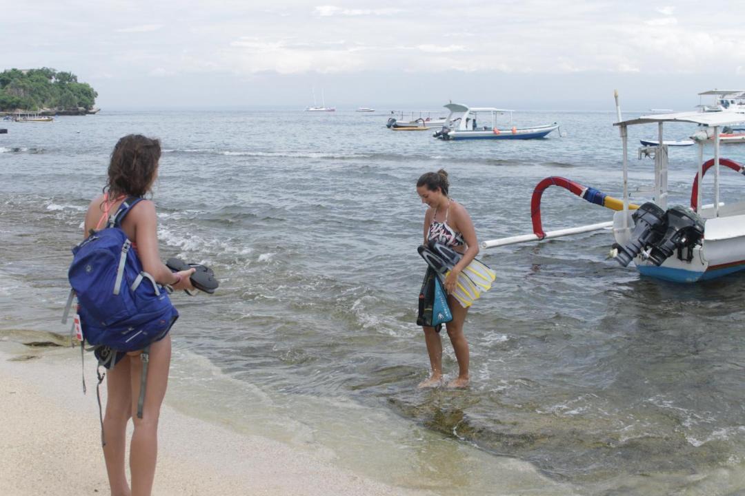 Photo of Others in Mushroom Bay