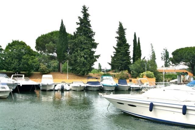 Photo of Others in Mandelieu-La-Napoule