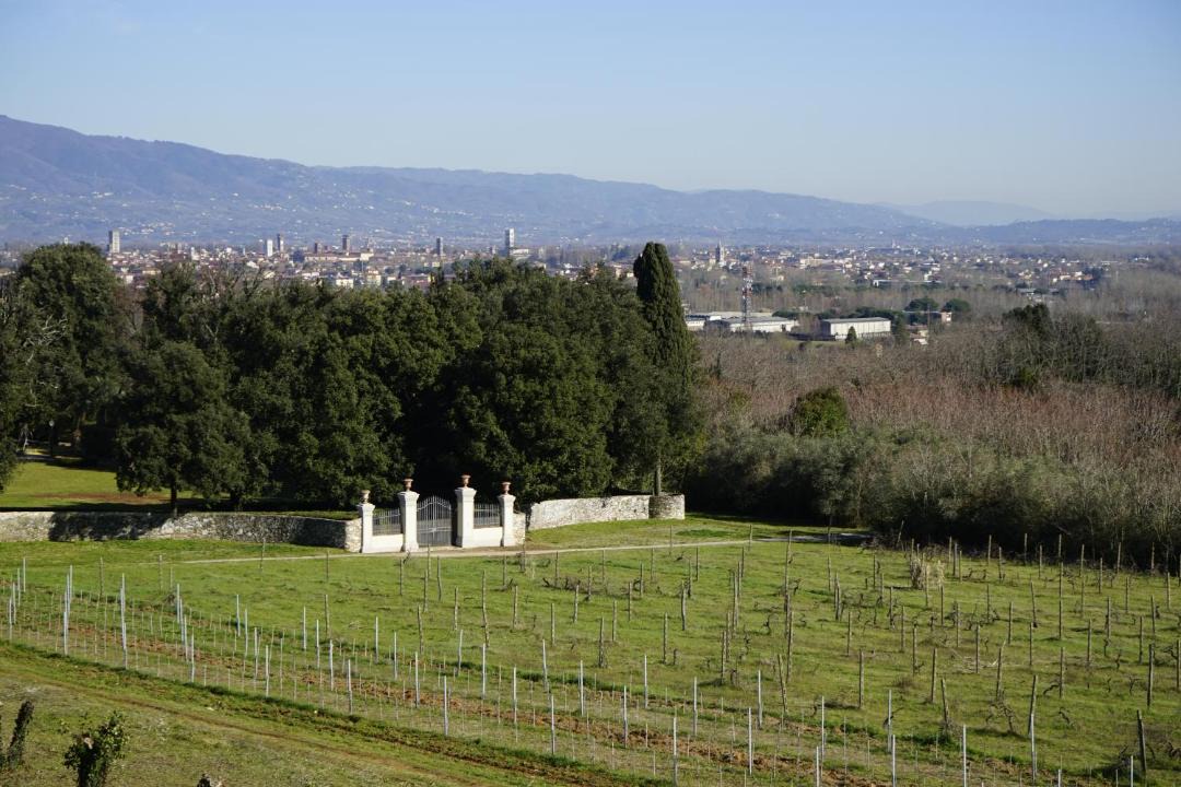 Photo of Others in Vicopelago