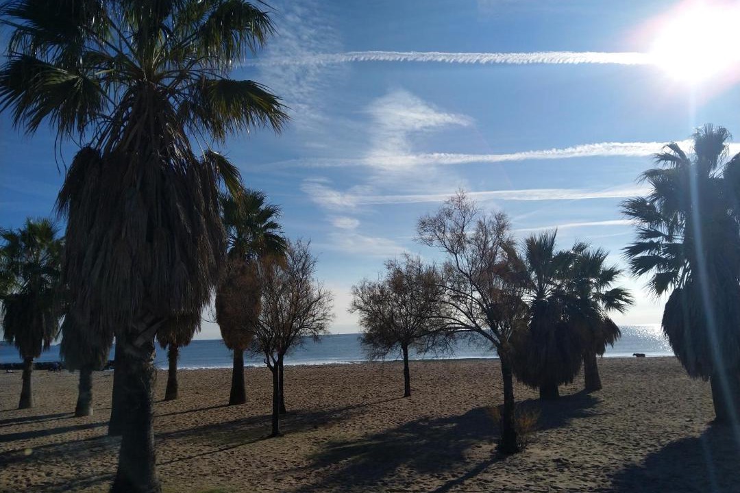 Photo of Others in Frejus Port