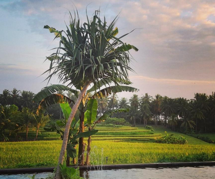 Photo of Outdoor in Suraberata