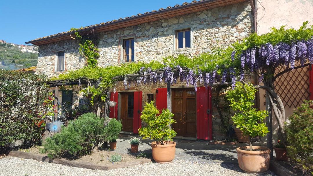 Photo of Others in Pieve a Nievole