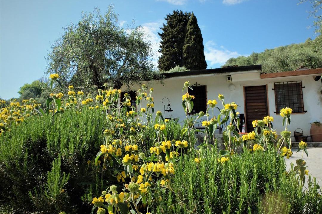Photo of Buildings in Stiava
