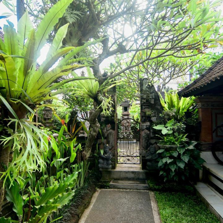 Photo of Others in Ubud City-Centre