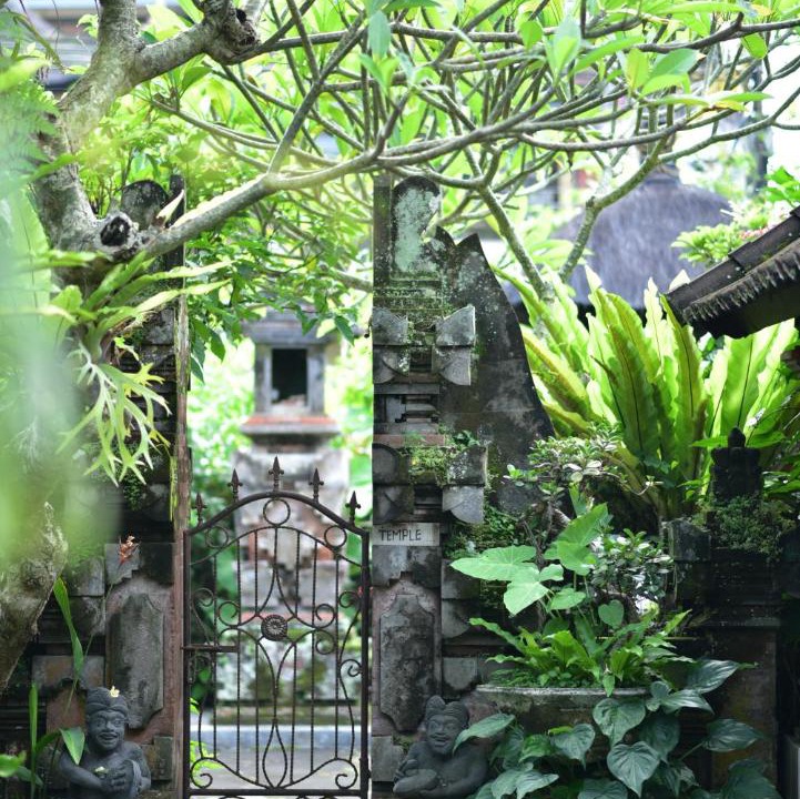 Photo of Others in Ubud City-Centre